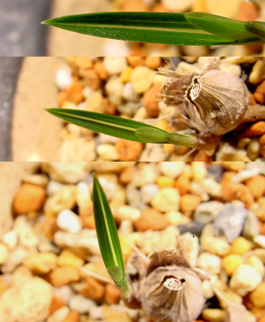 ������ ū������ �� �� �ֽ��ϴ�.