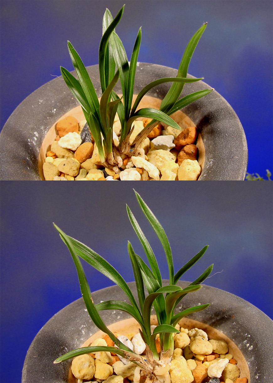 ������ ū������ �� �� �ֽ��ϴ�.