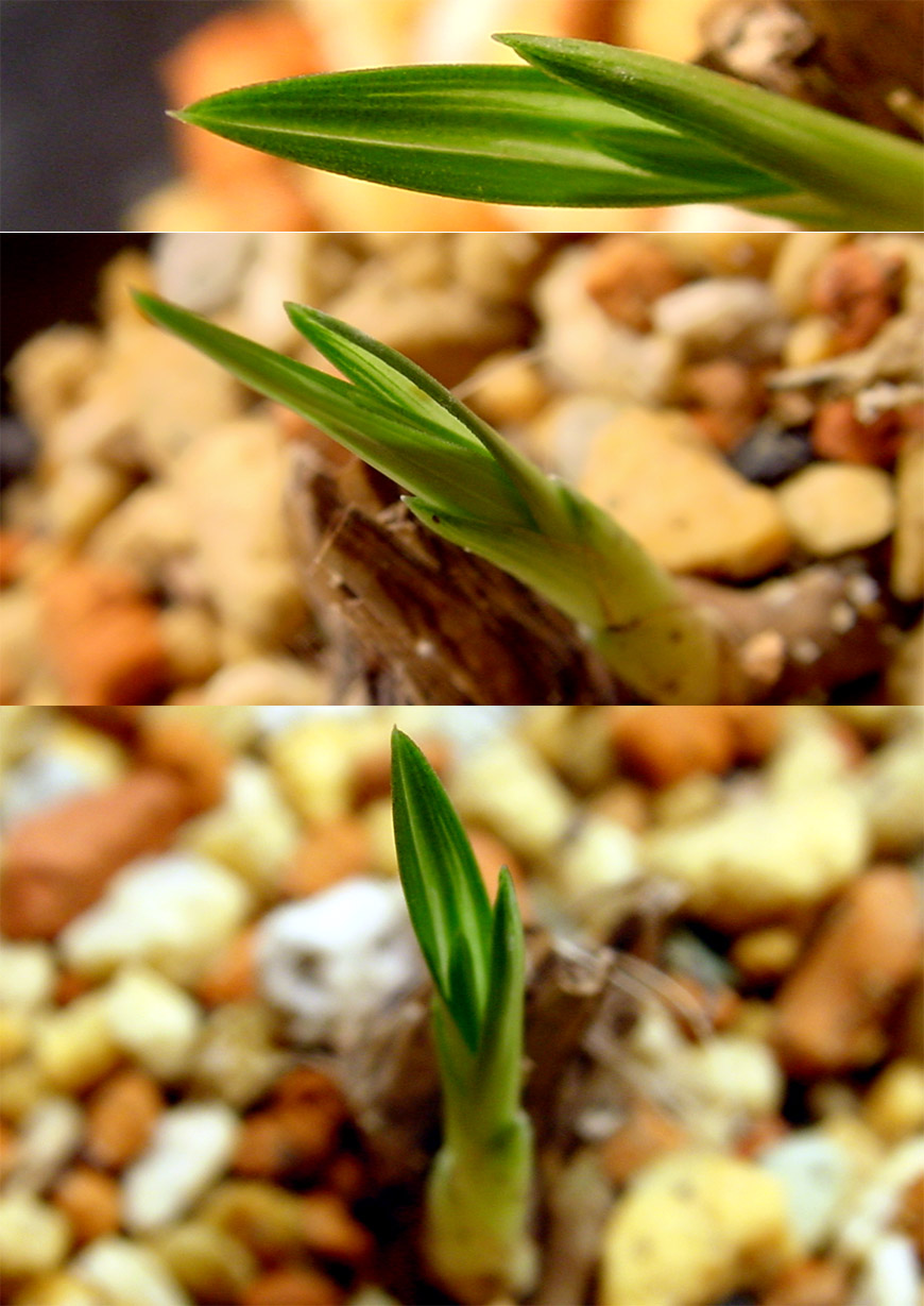 ������ ū������ �� �� �ֽ��ϴ�.