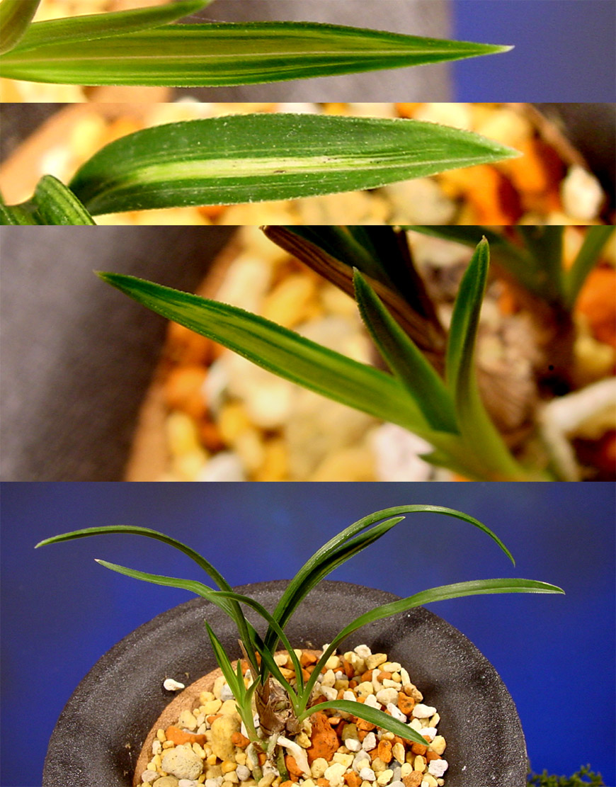 ������ ū������ �� �� �ֽ��ϴ�.