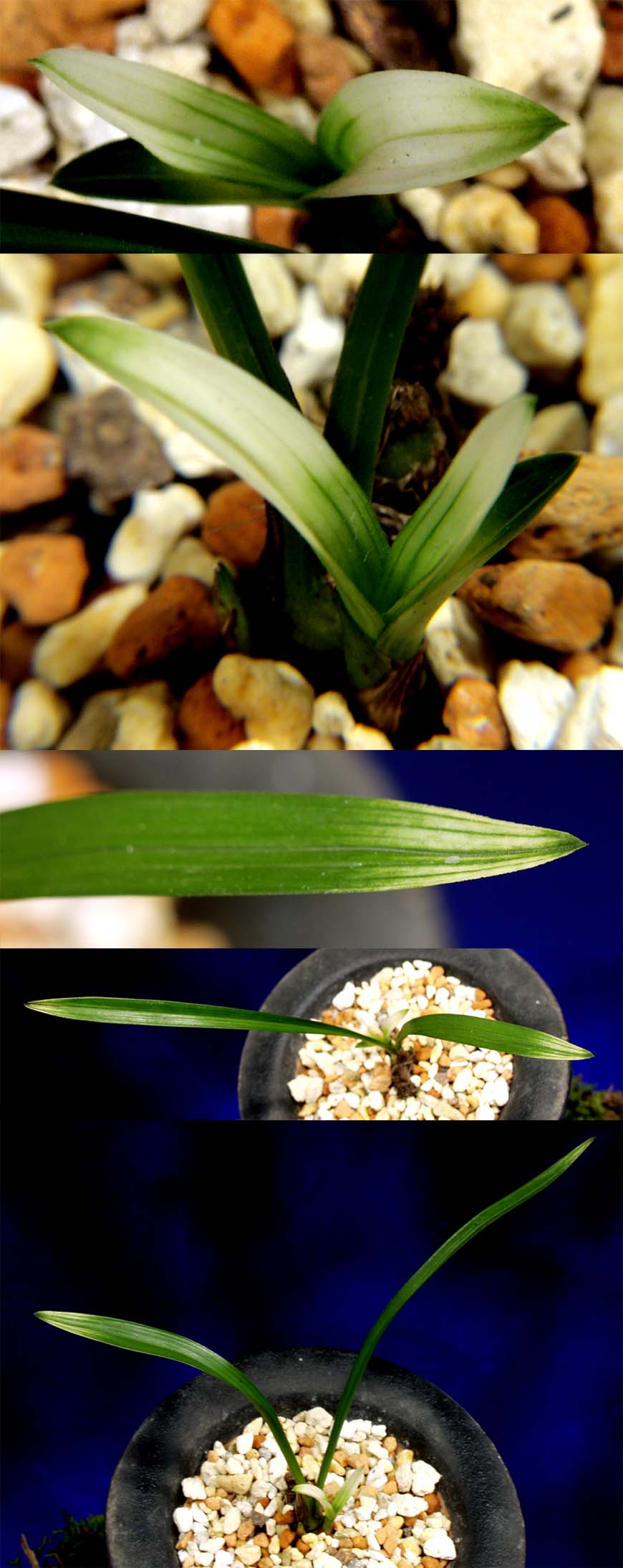 ������ ū������ �� �� �ֽ��ϴ�.