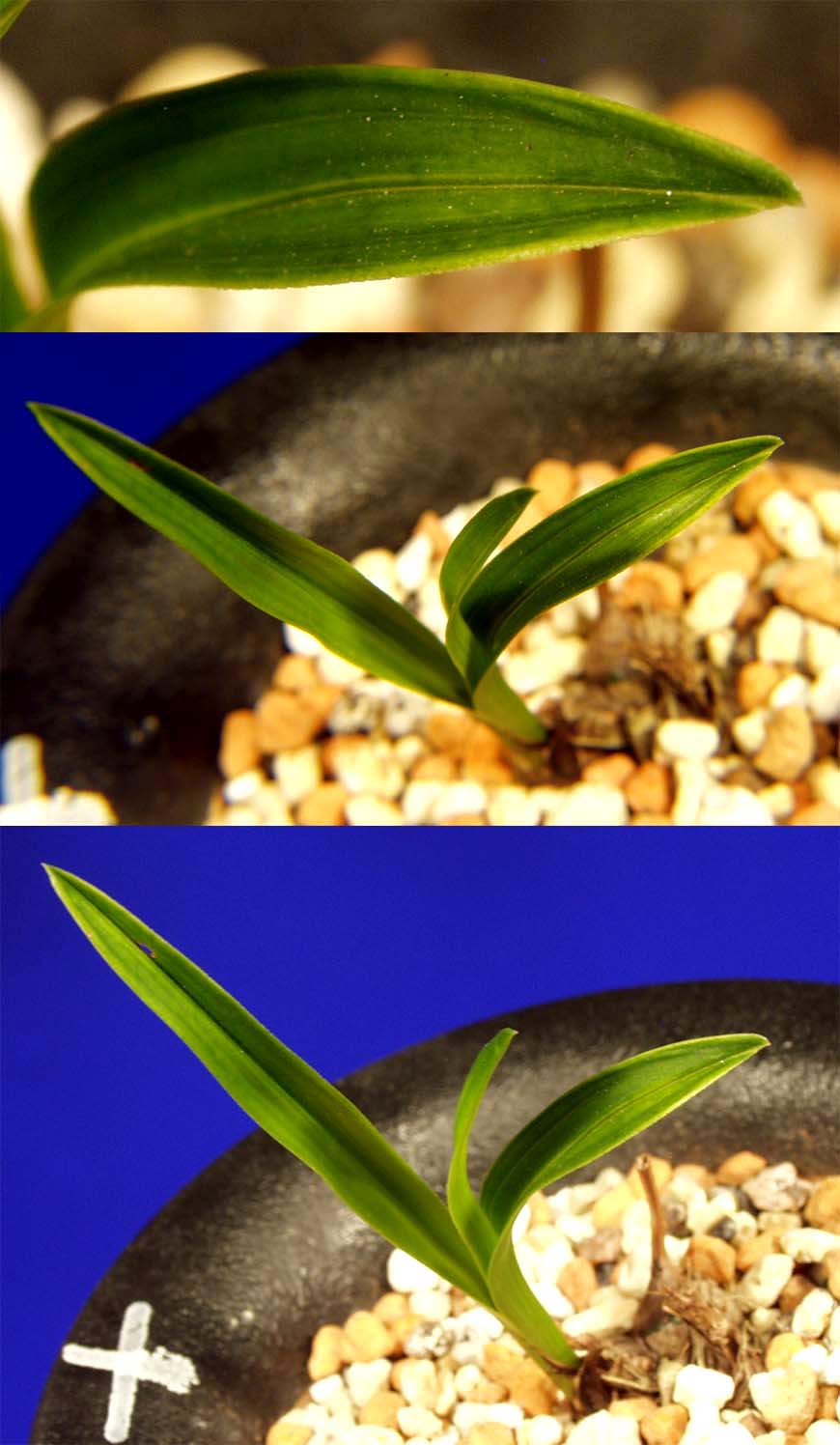 ������ ū������ �� �� �ֽ��ϴ�.