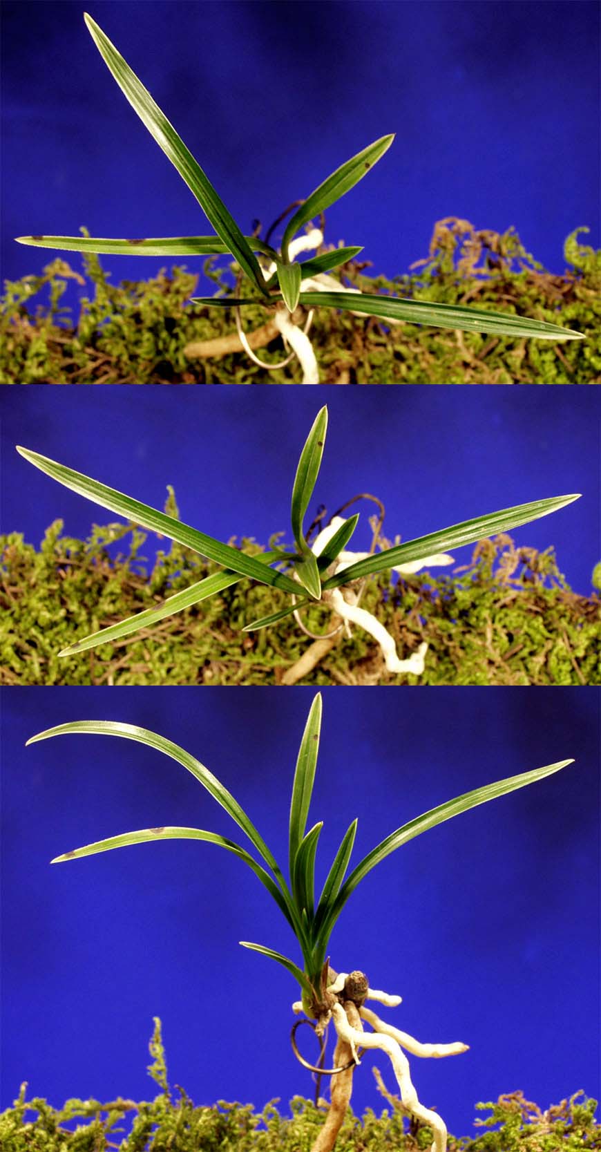 ������ ū������ �� �� �ֽ��ϴ�.