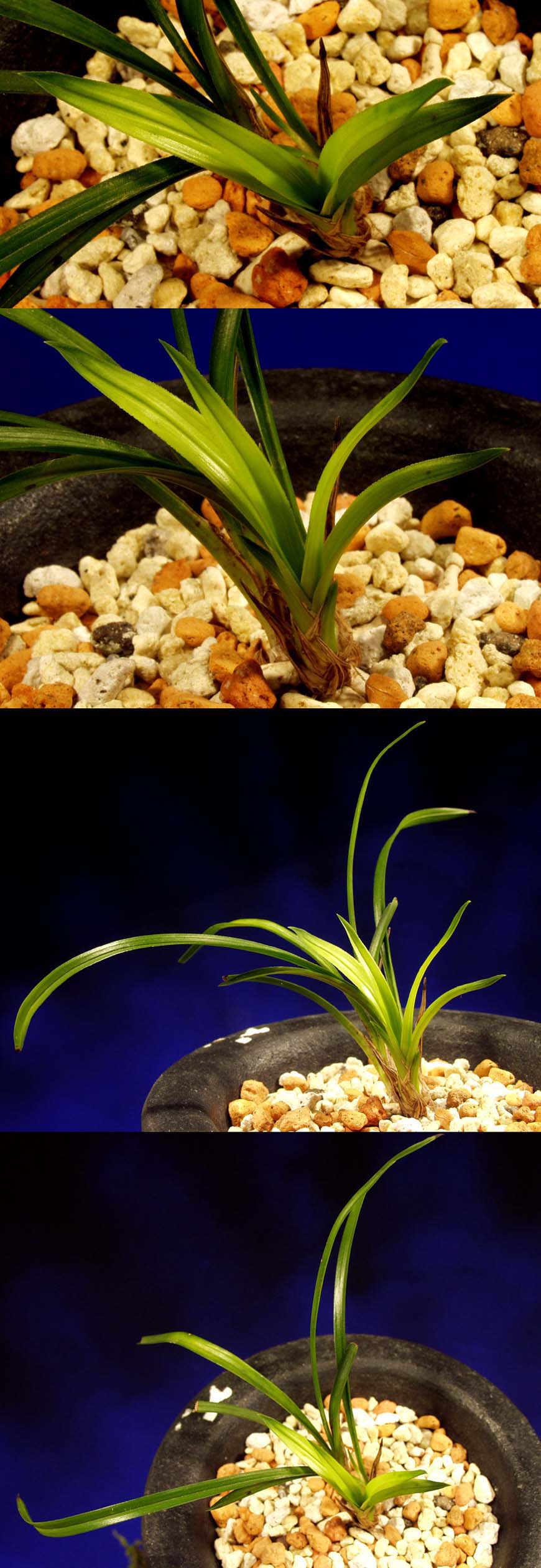 ������ ū������ �� �� �ֽ��ϴ�.