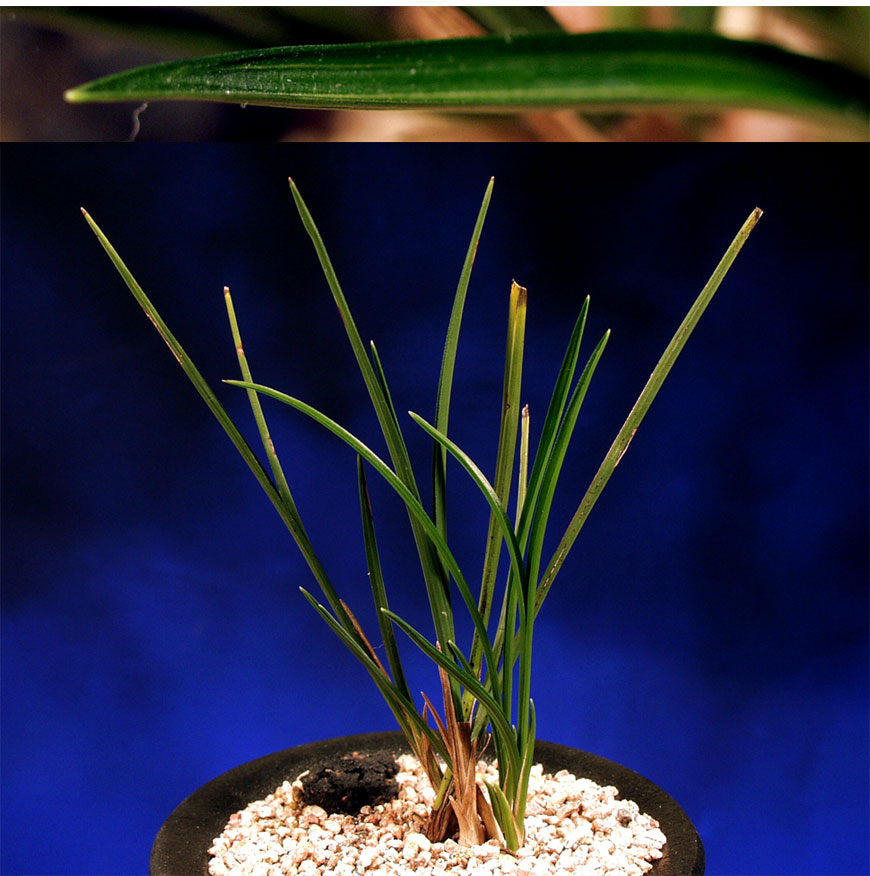 ������ ū������ �� �� �ֽ��ϴ�.