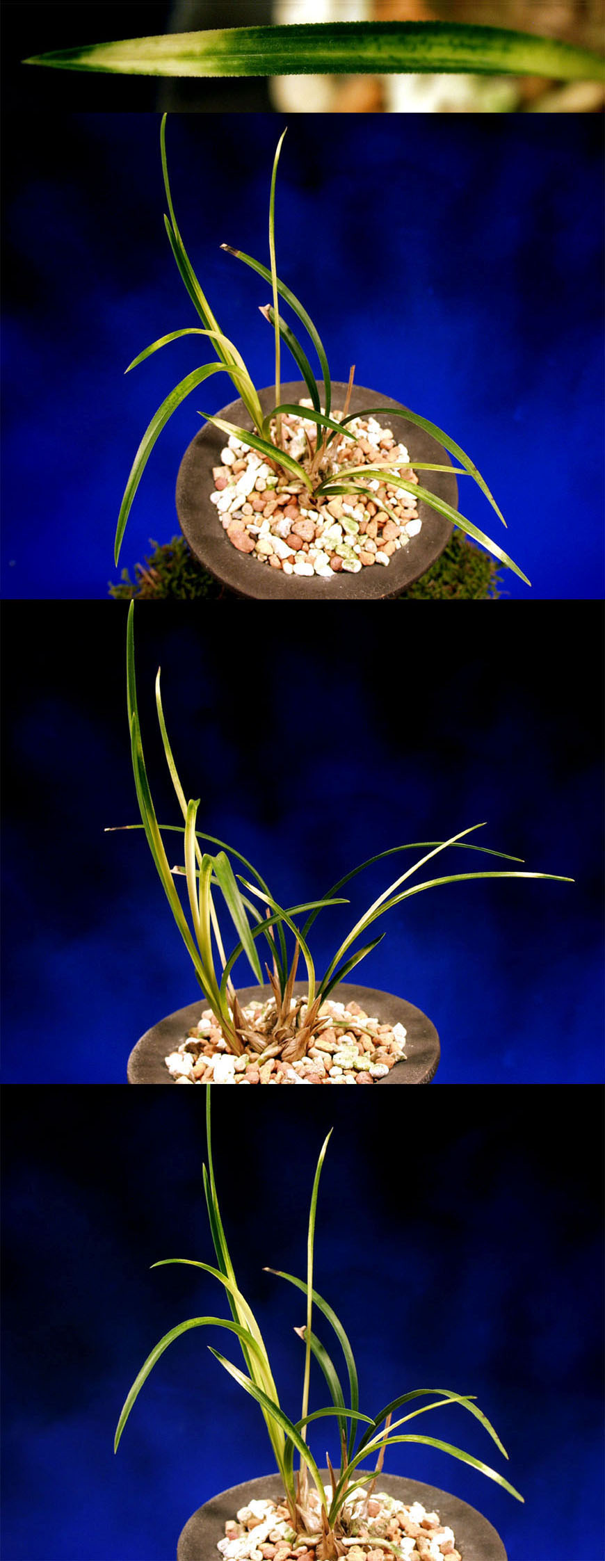 ������ ū������ �� �� �ֽ��ϴ�.