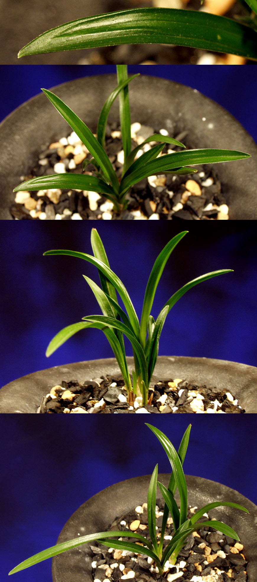 ������ ū������ �� �� �ֽ��ϴ�.