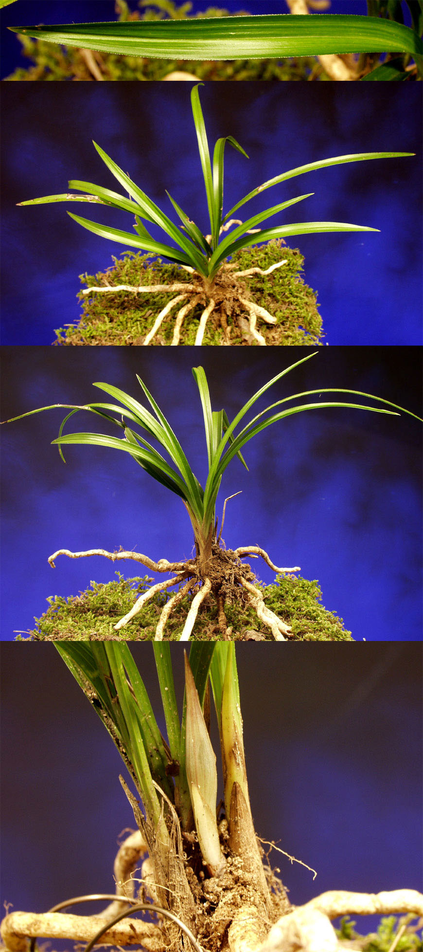 ������ ū������ �� �� �ֽ��ϴ�.