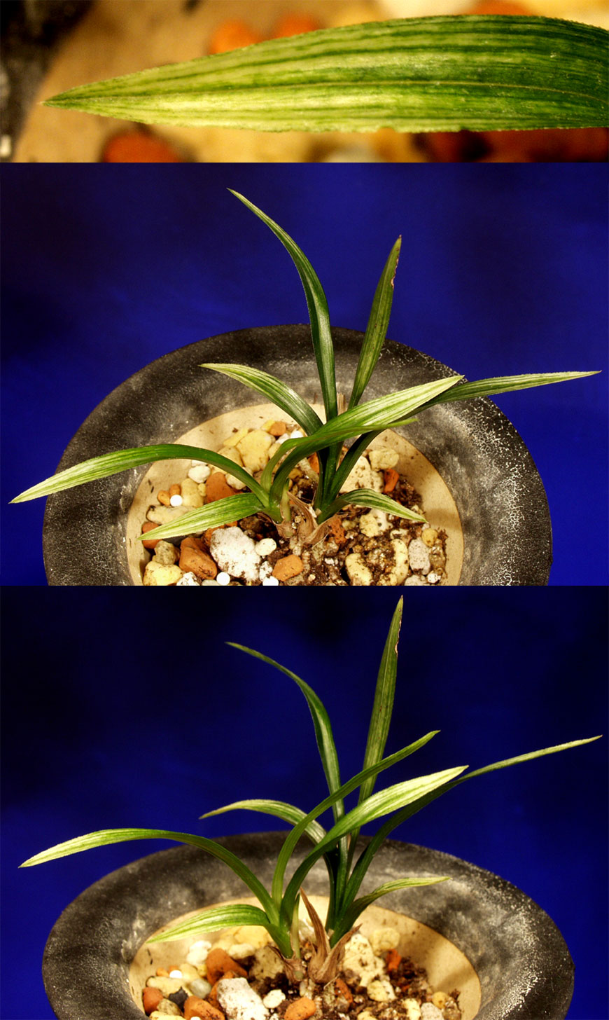 ������ ū������ �� �� �ֽ��ϴ�.