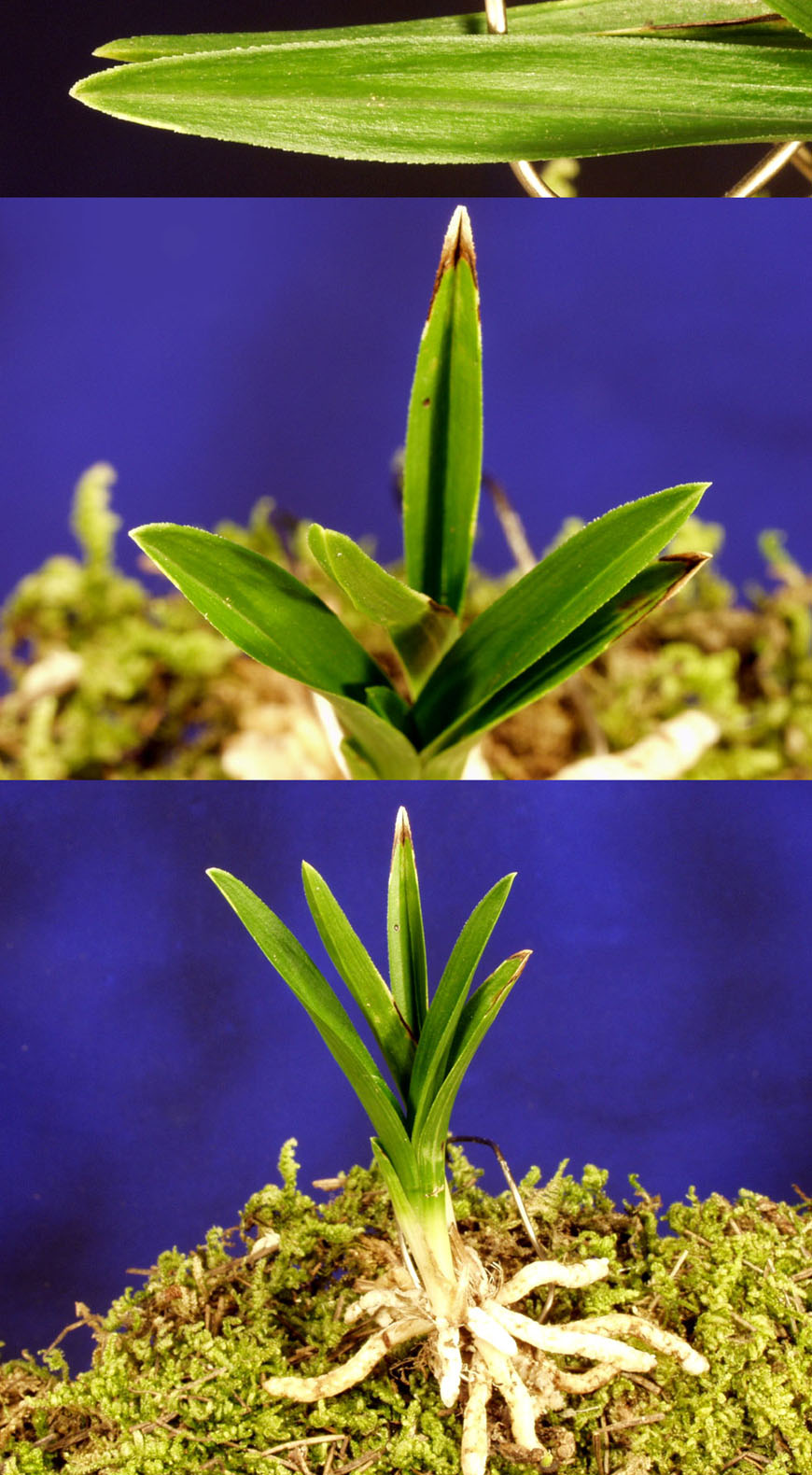 ������ ū������ �� �� �ֽ��ϴ�.