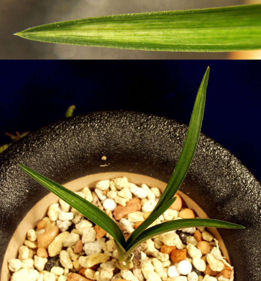 ������ ū������ �� �� �ֽ��ϴ�.