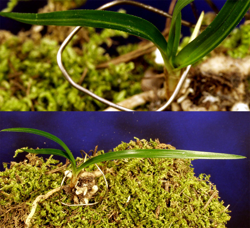 ������ ū������ �� �� �ֽ��ϴ�.