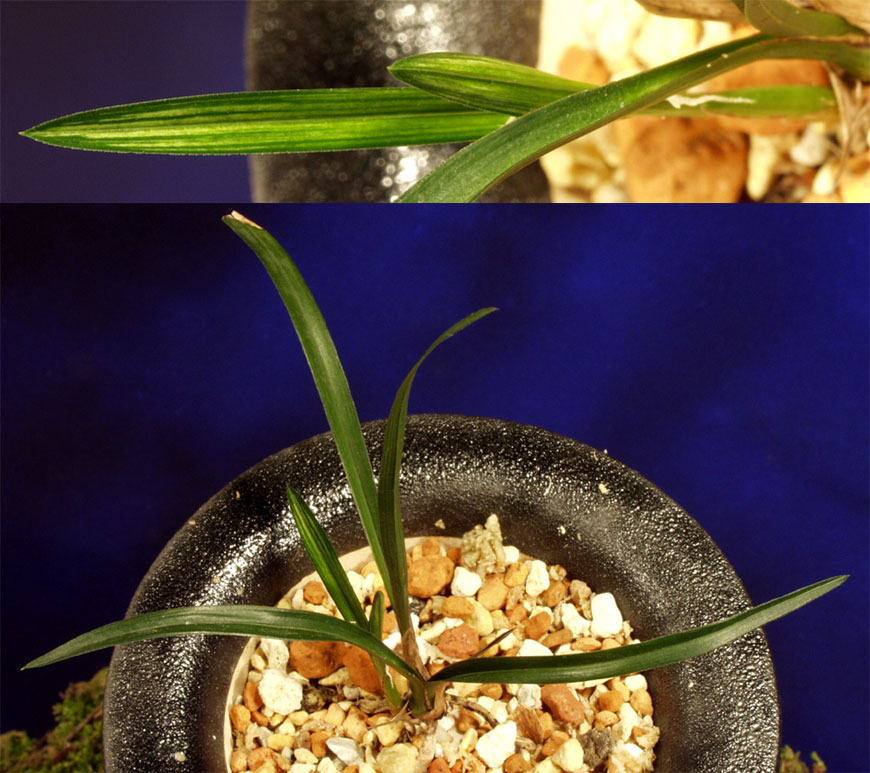 ������ ū������ �� �� �ֽ��ϴ�.