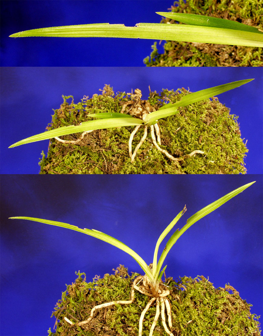 ������ ū������ �� �� �ֽ��ϴ�.