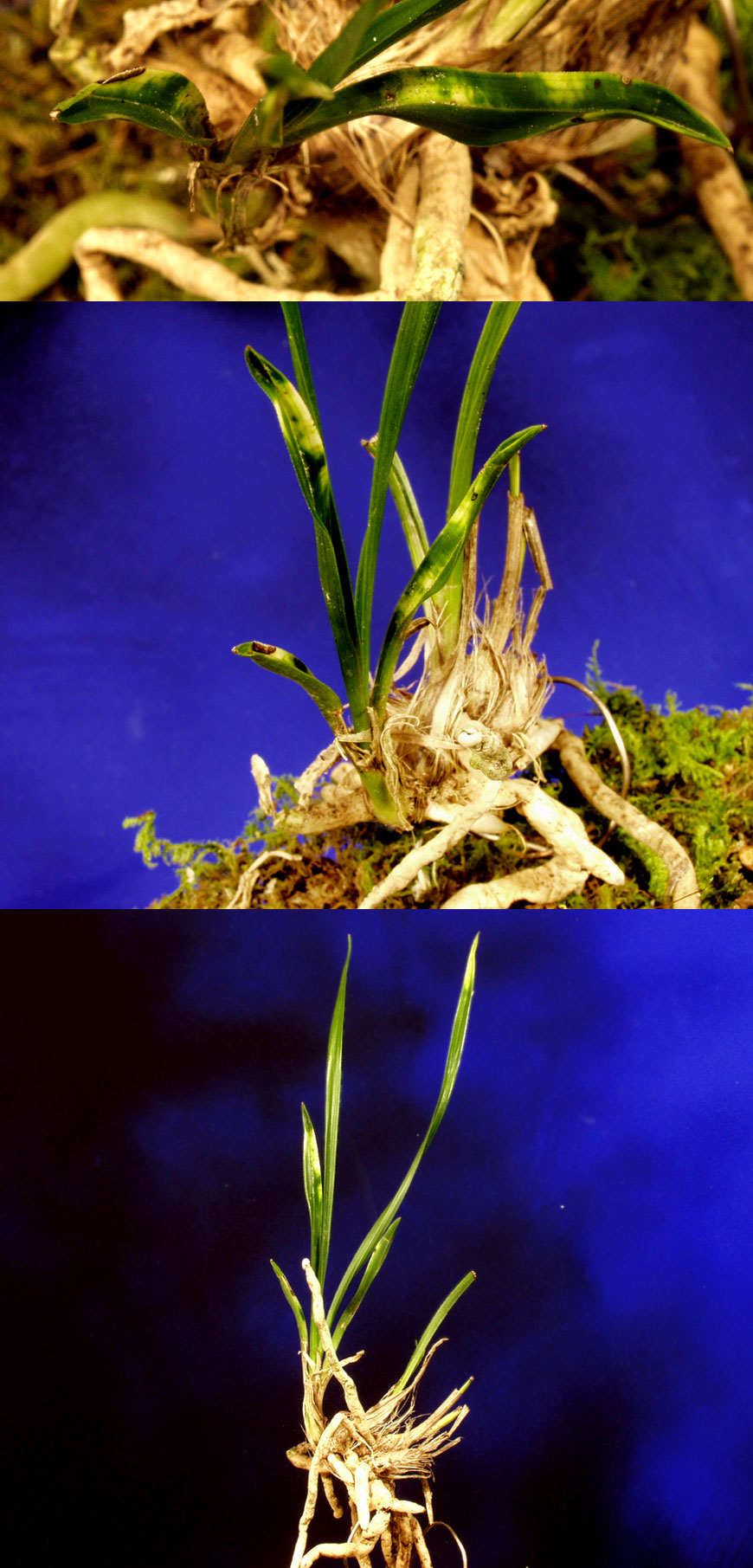 ������ ū������ �� �� �ֽ��ϴ�.