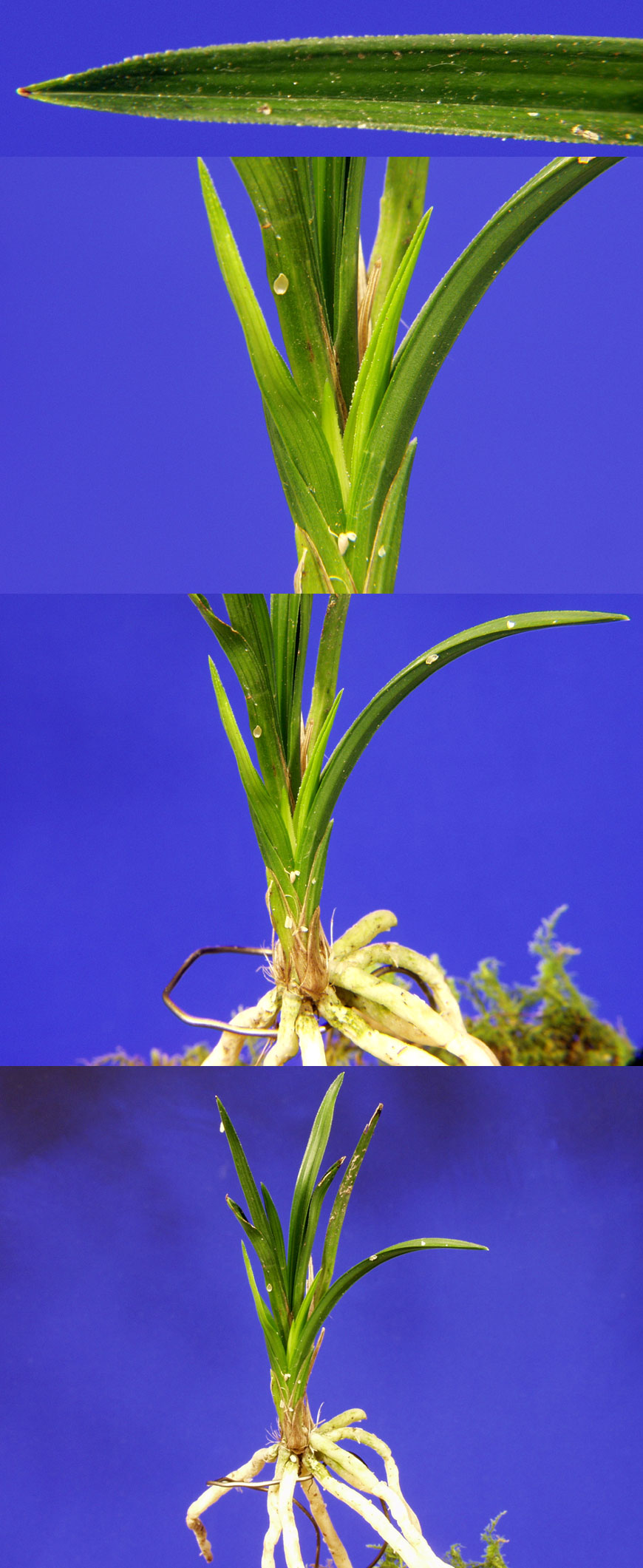 ������ ū������ �� �� �ֽ��ϴ�.