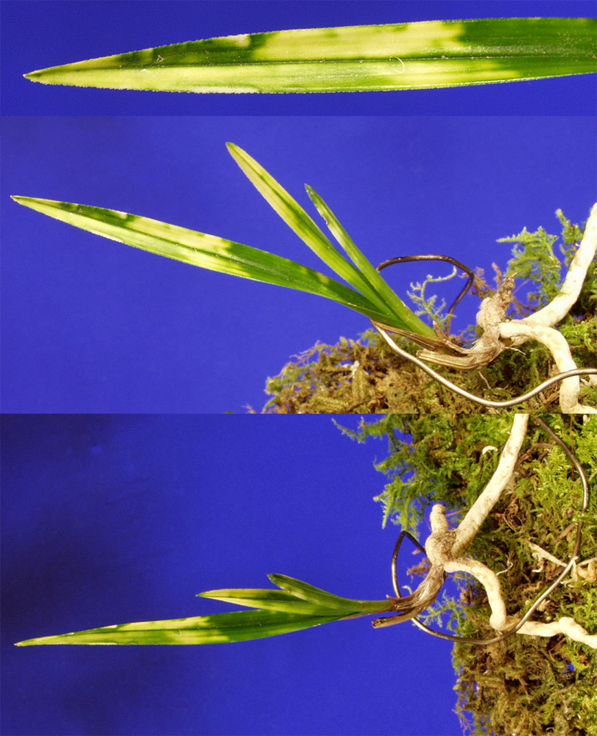 ������ ū������ �� �� �ֽ��ϴ�.