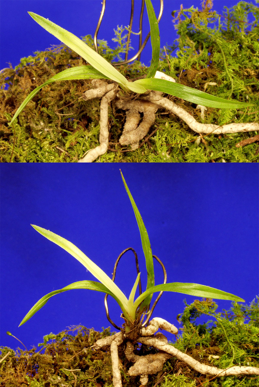 ������ ū������ �� �� �ֽ��ϴ�.