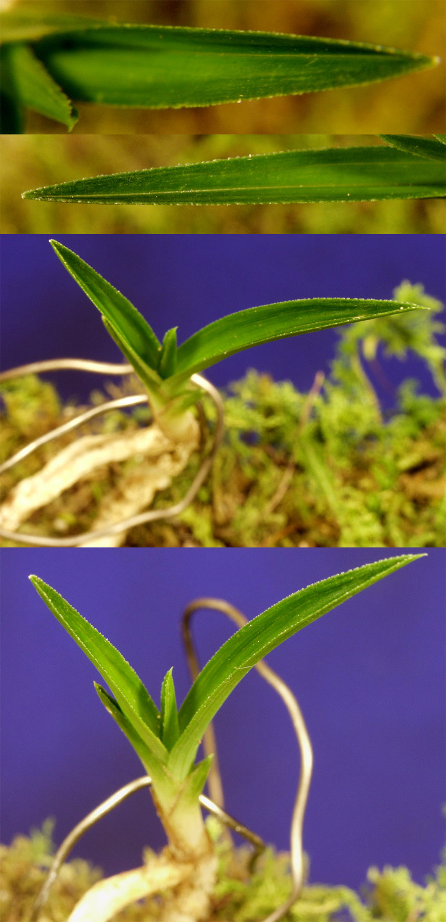 ������ ū������ �� �� �ֽ��ϴ�.