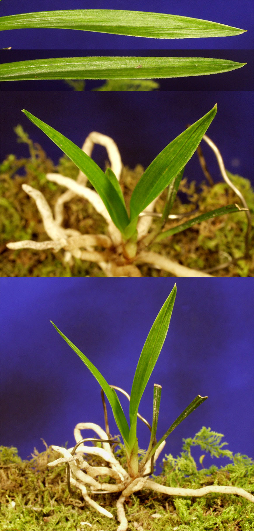 ������ ū������ �� �� �ֽ��ϴ�.