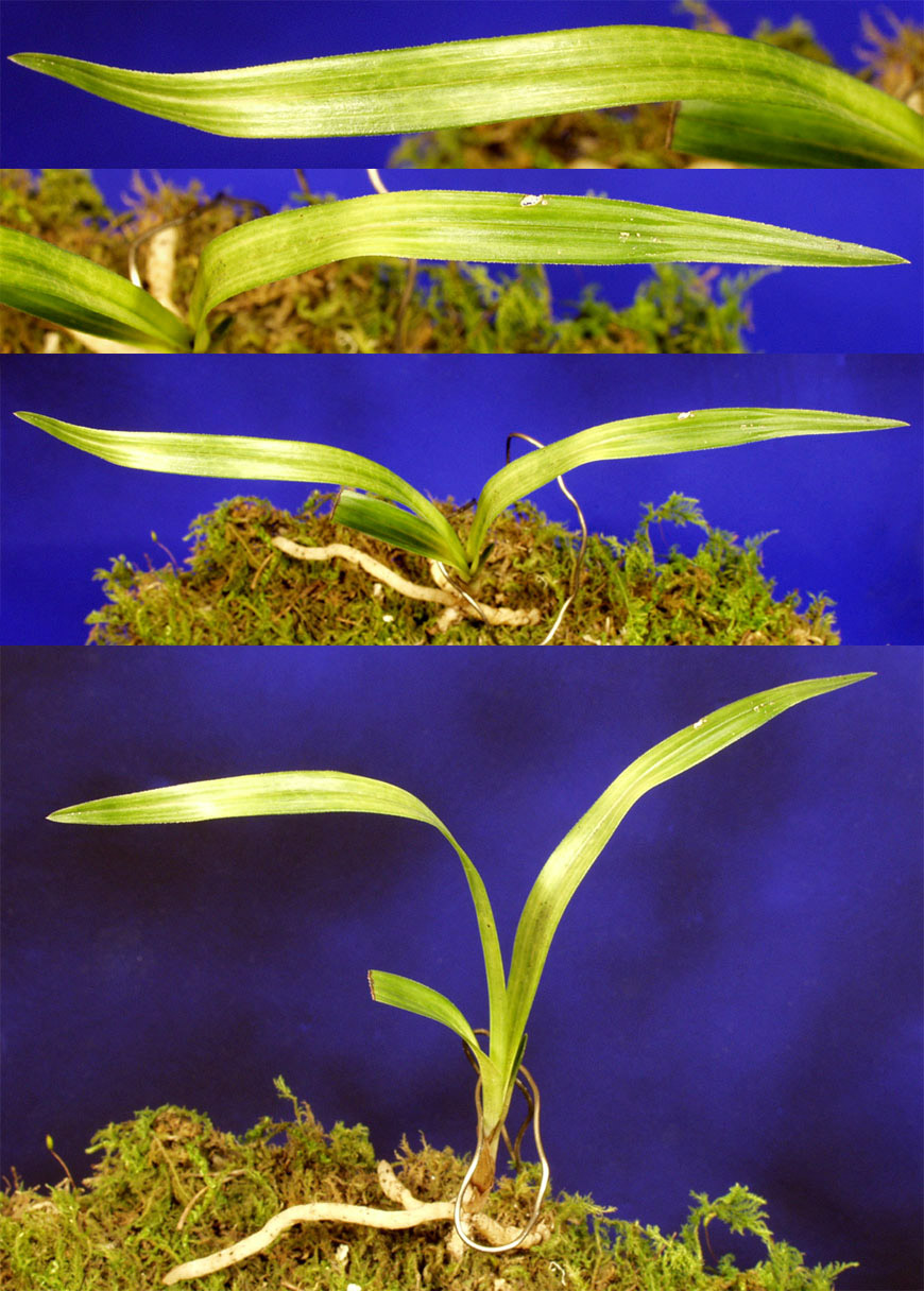 ������ ū������ �� �� �ֽ��ϴ�.