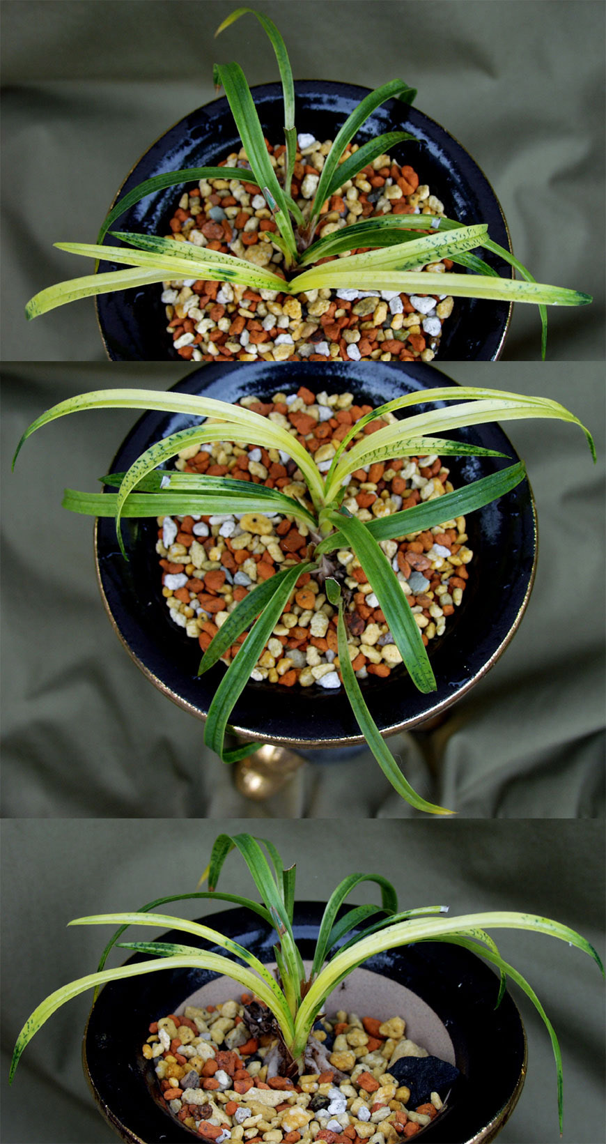 ������ ū������ �� �� �ֽ��ϴ�.