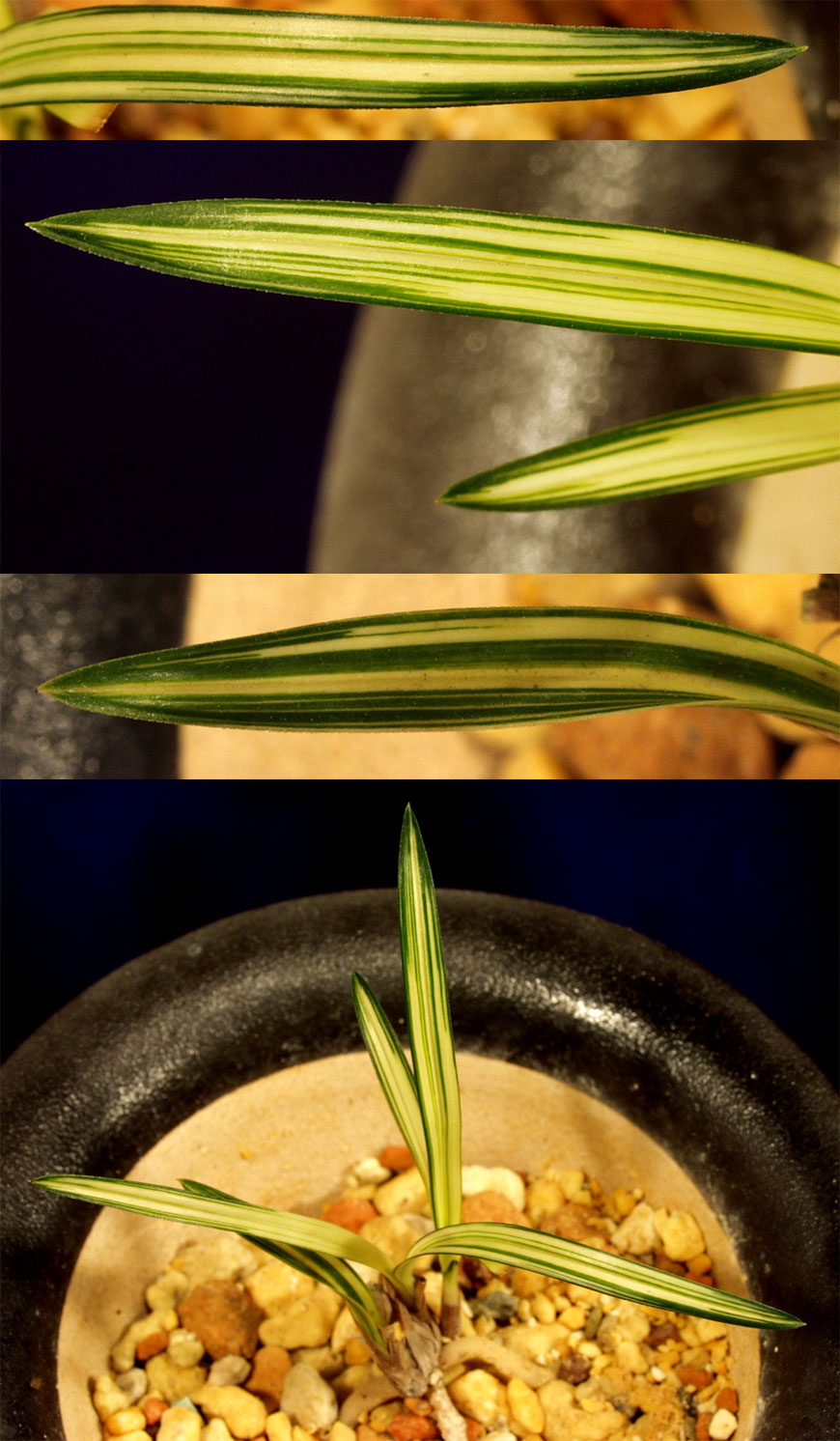 ������ ū������ �� �� �ֽ��ϴ�.