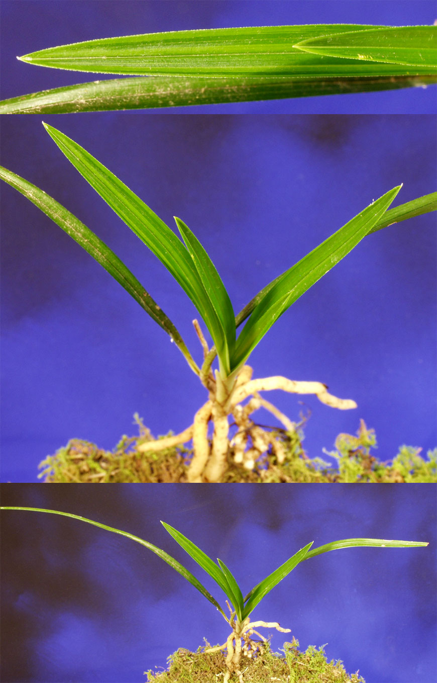 ������ ū������ �� �� �ֽ��ϴ�.