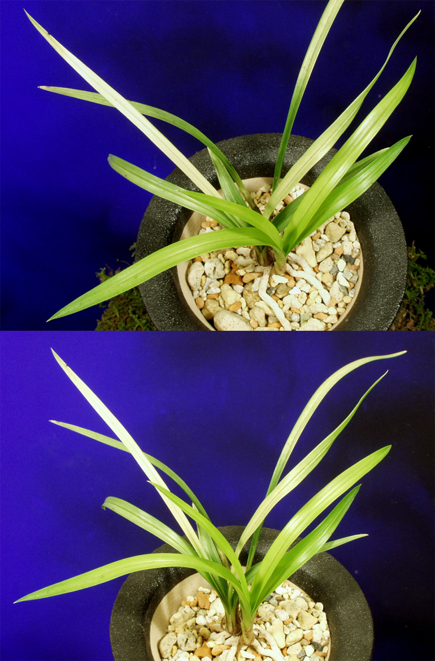 ������ ū������ �� �� �ֽ��ϴ�.