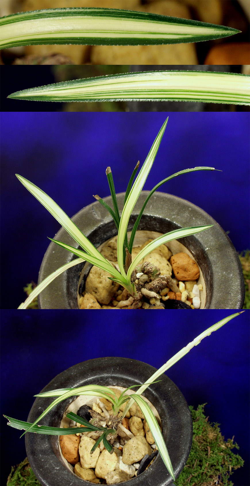 ������ ū������ �� �� �ֽ��ϴ�.