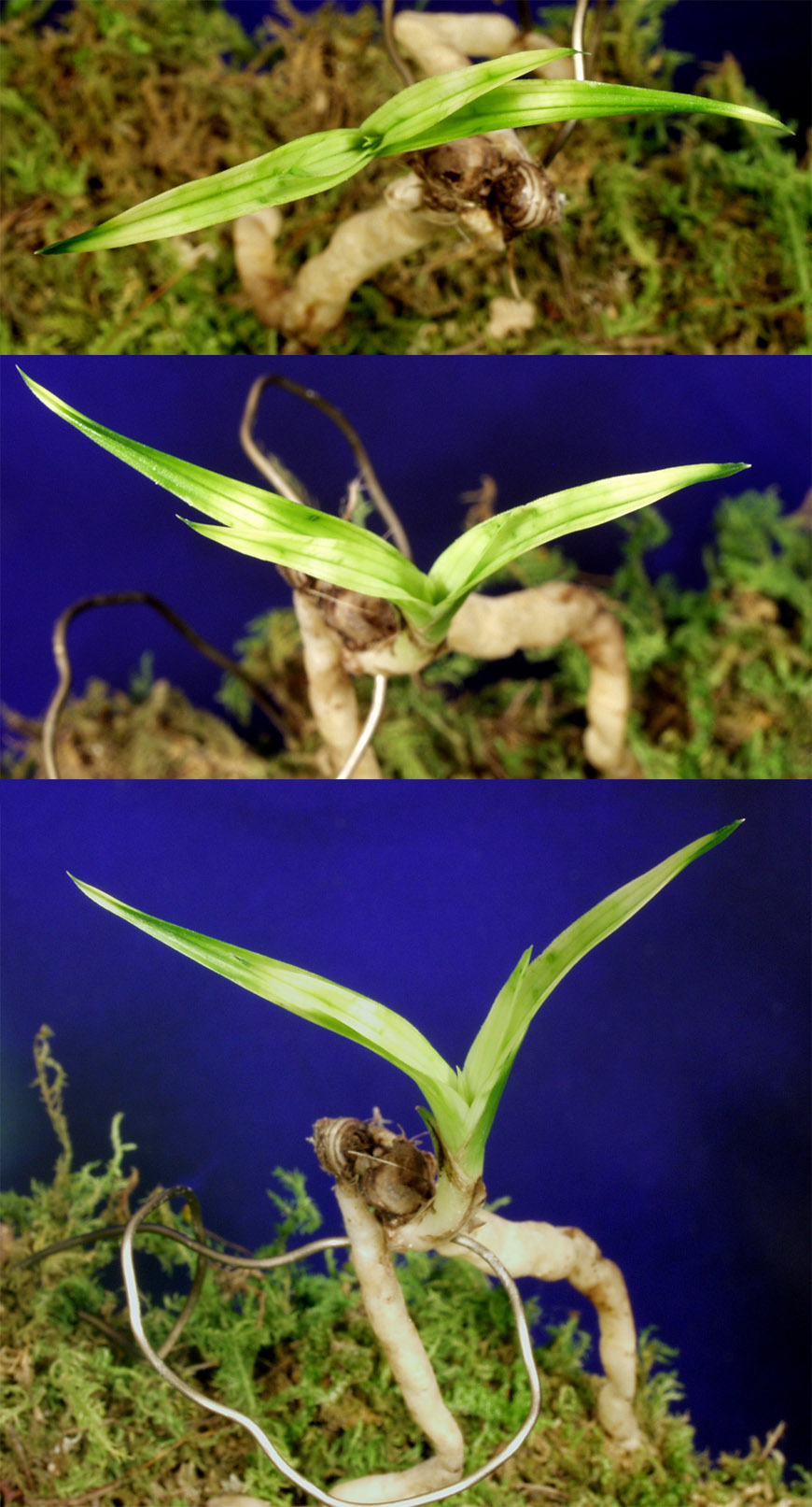 ������ ū������ �� �� �ֽ��ϴ�.