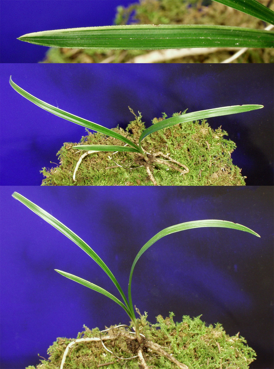 ������ ū������ �� �� �ֽ��ϴ�.