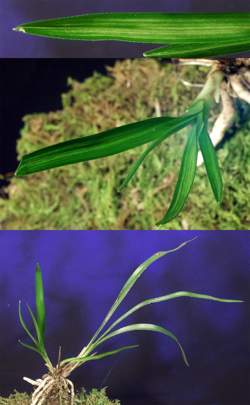 ������ ū������ �� �� �ֽ��ϴ�.