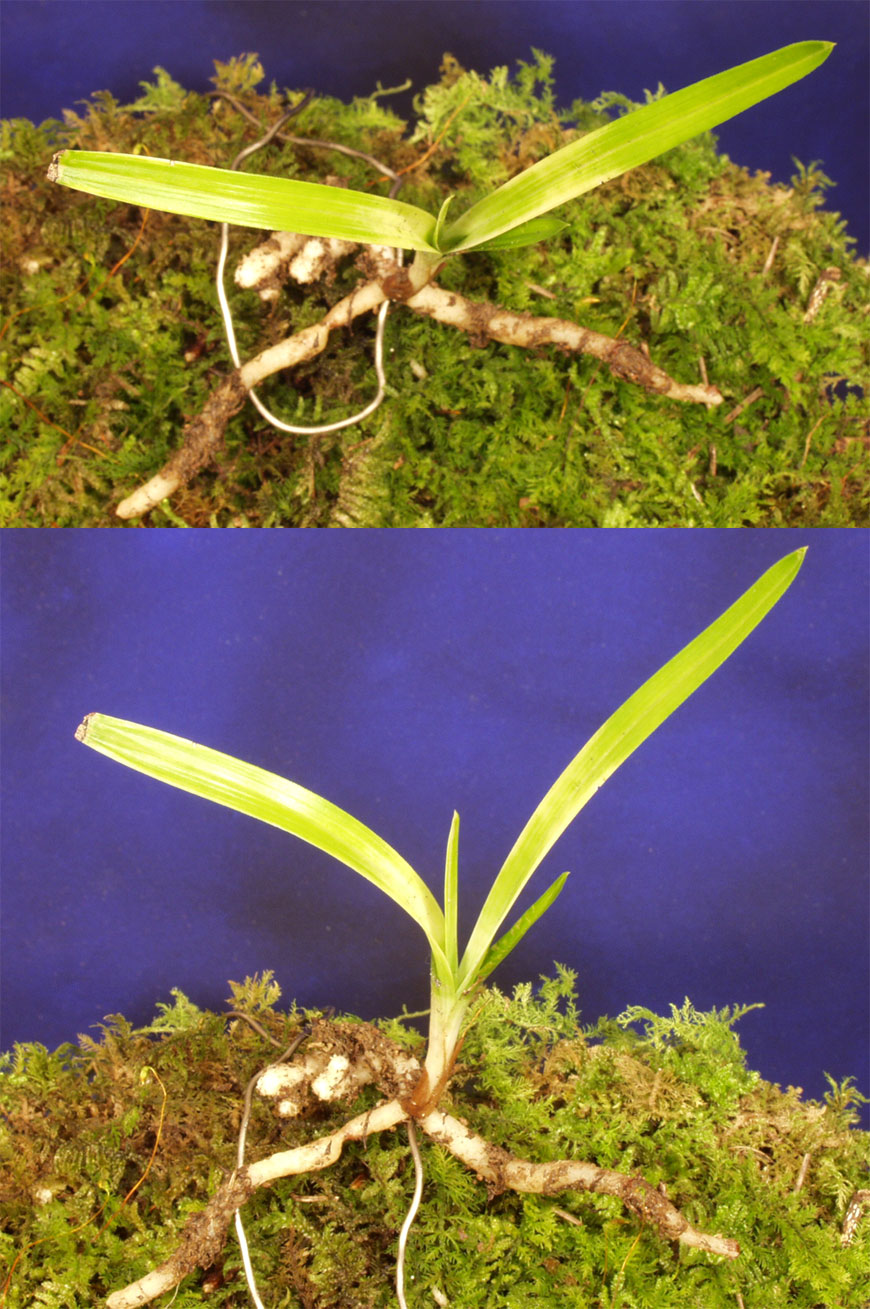 ������ ū������ �� �� �ֽ��ϴ�.