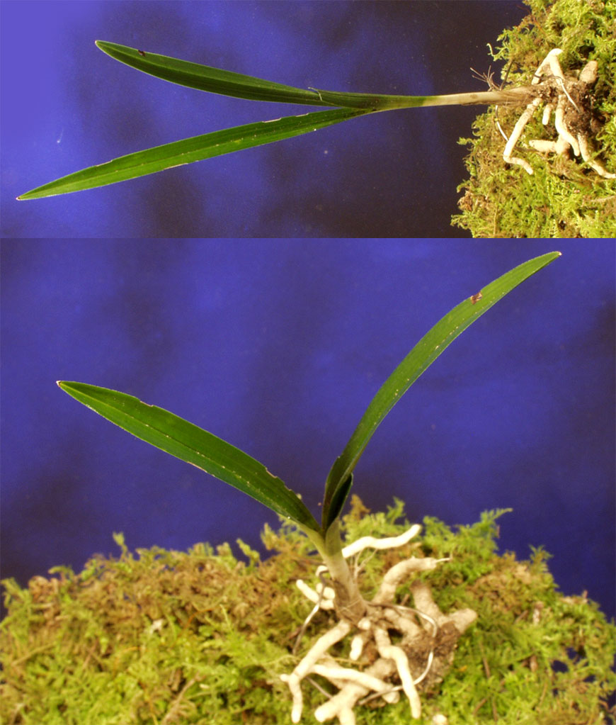 ������ ū������ �� �� �ֽ��ϴ�.