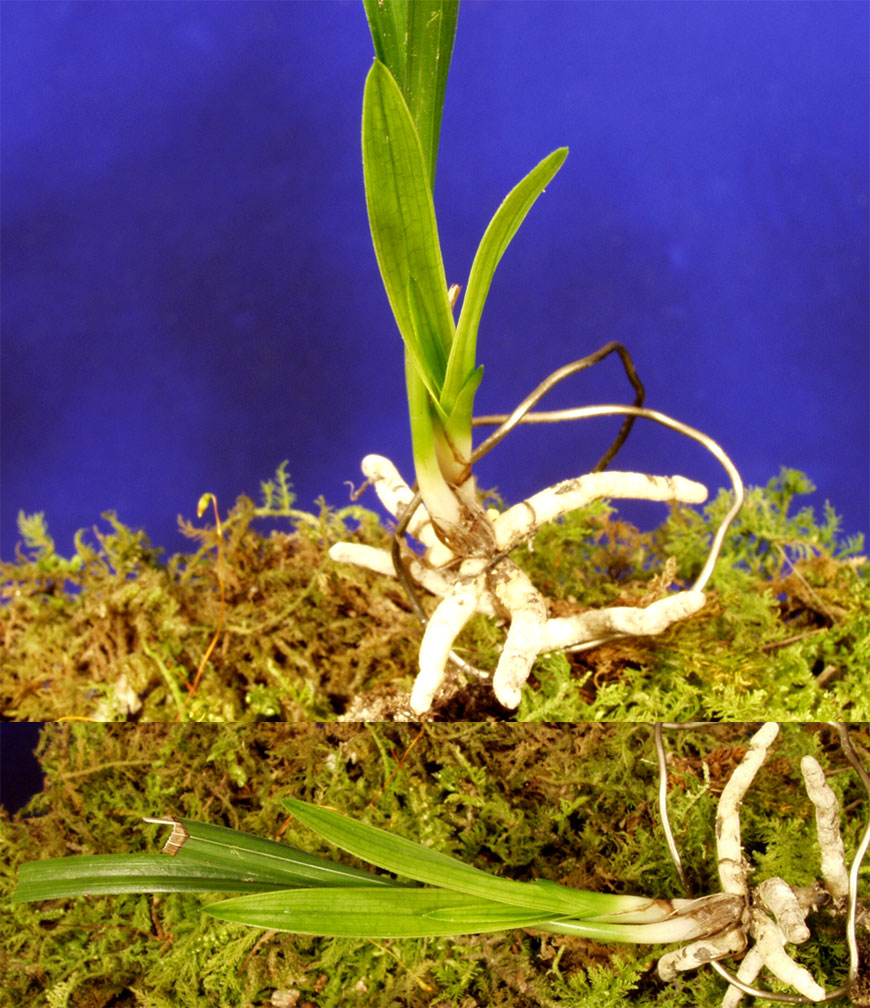 ������ ū������ �� �� �ֽ��ϴ�.