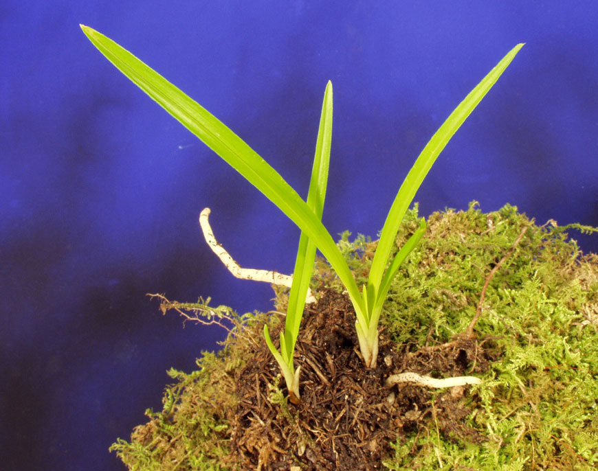 ������ ū������ �� �� �ֽ��ϴ�.