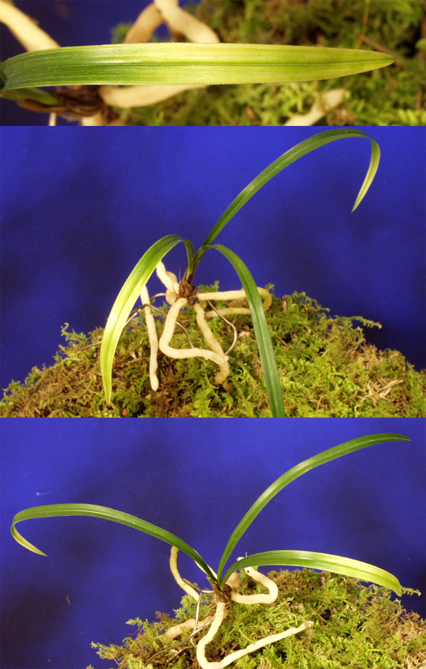 ������ ū������ �� �� �ֽ��ϴ�.