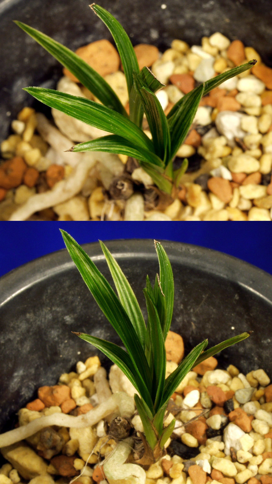 ������ ū������ �� �� �ֽ��ϴ�.