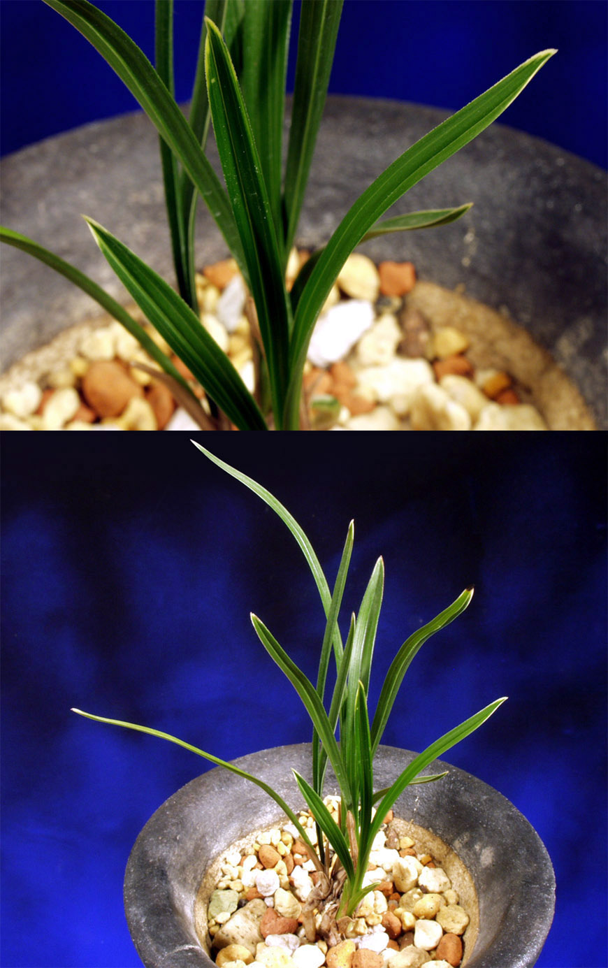 ������ ū������ �� �� �ֽ��ϴ�.