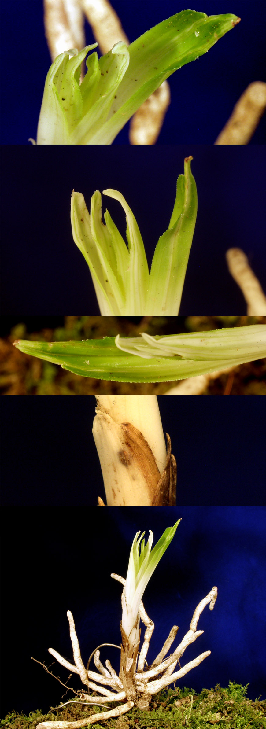 ������ ū������ �� �� �ֽ��ϴ�.