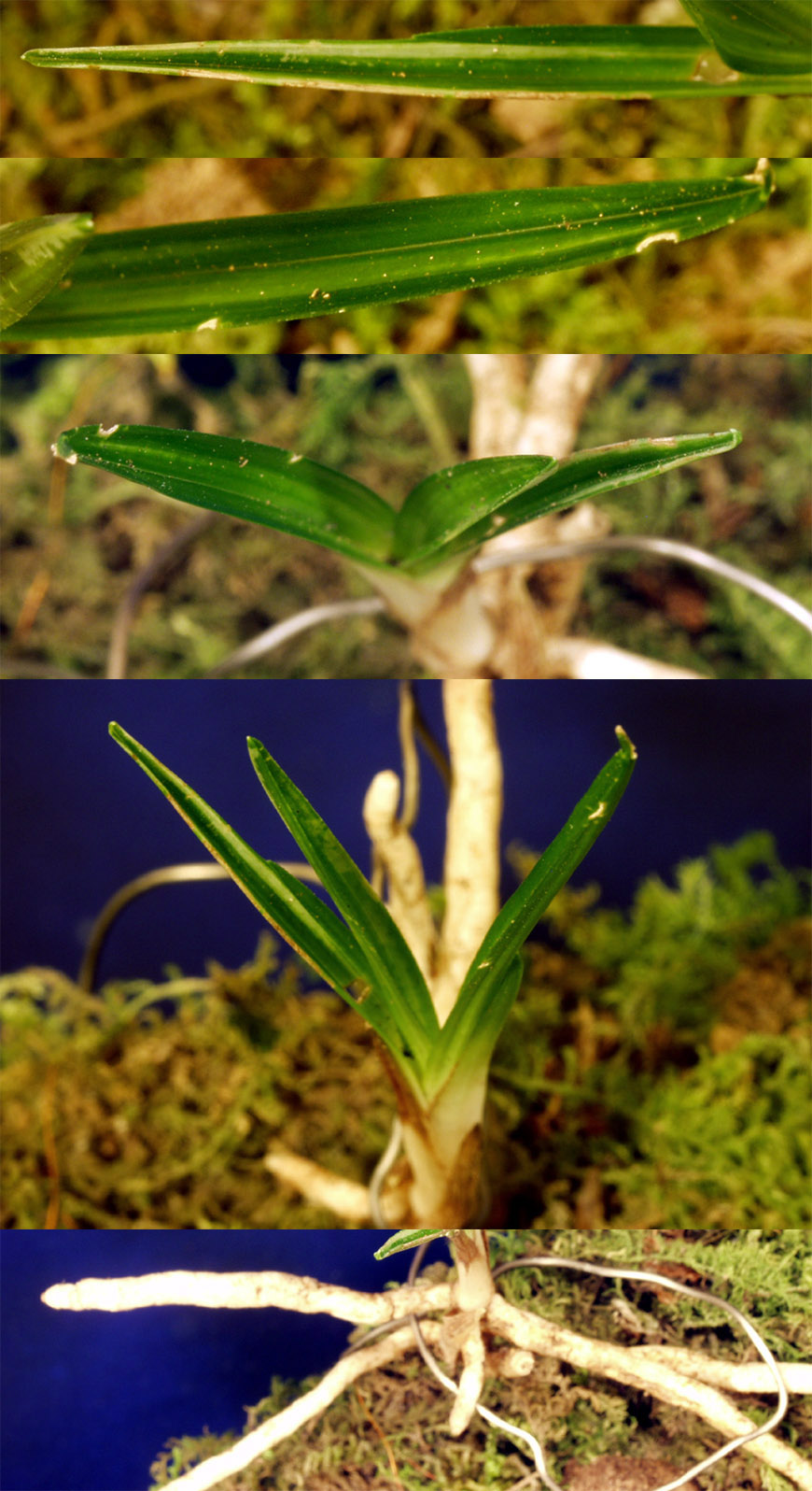 ������ ū������ �� �� �ֽ��ϴ�.