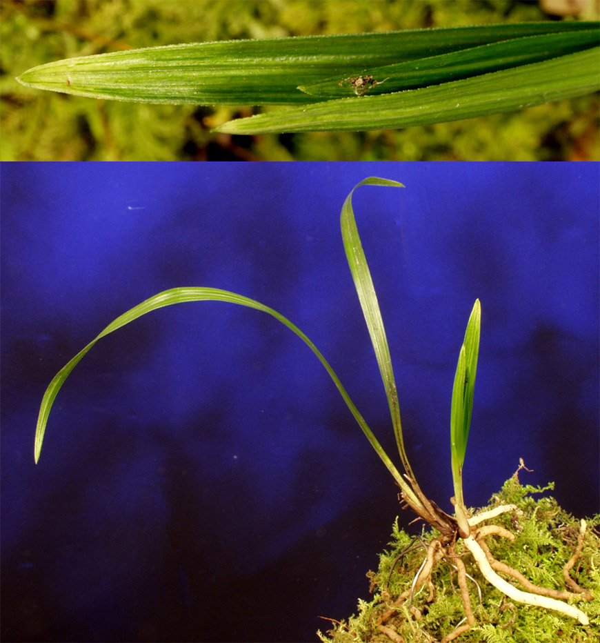 ������ ū������ �� �� �ֽ��ϴ�.