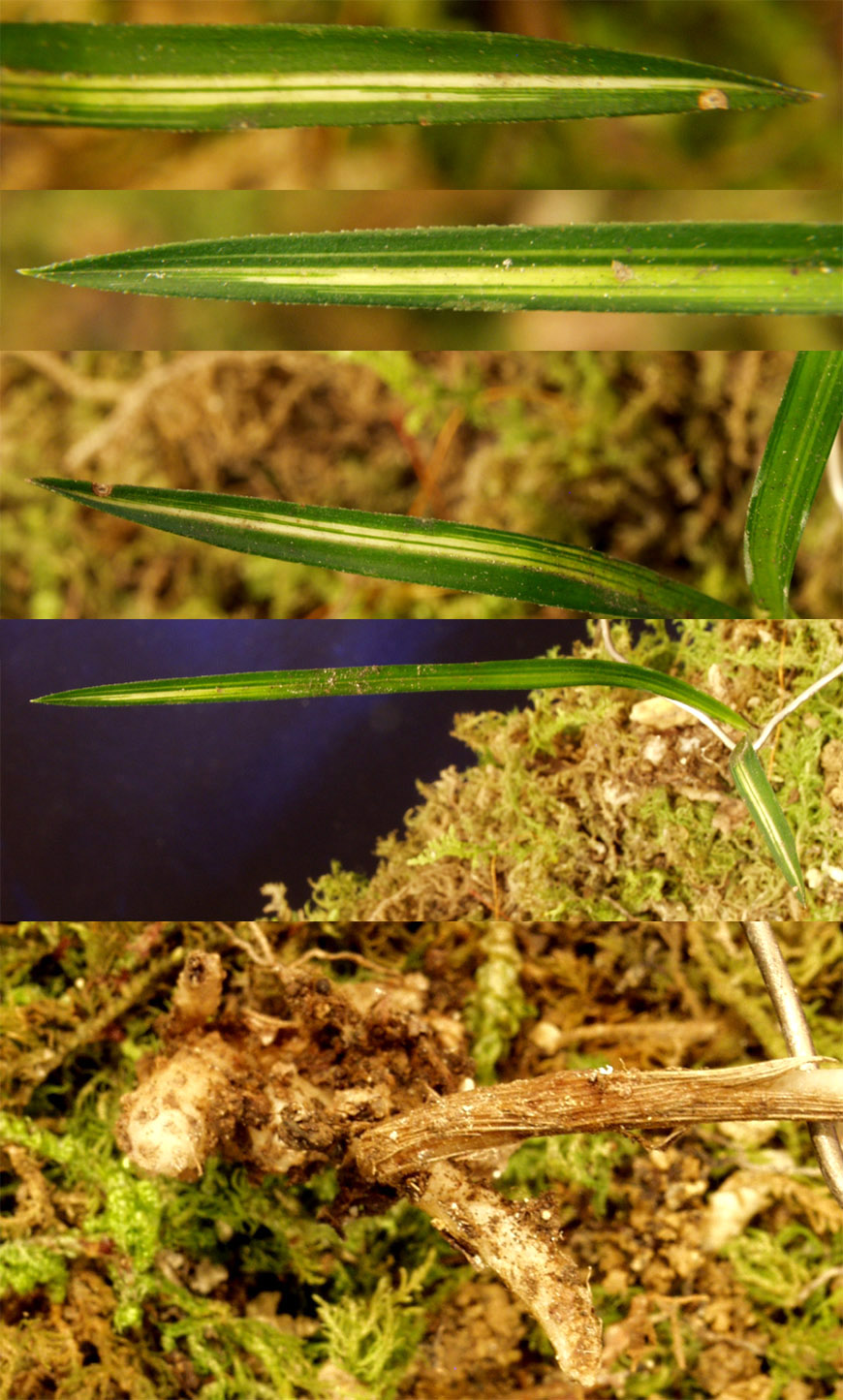 ������ ū������ �� �� �ֽ��ϴ�.