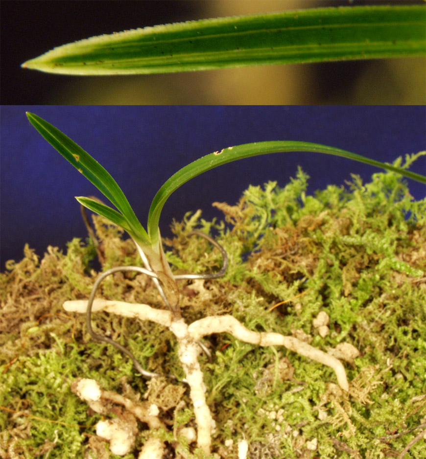 ������ ū������ �� �� �ֽ��ϴ�.