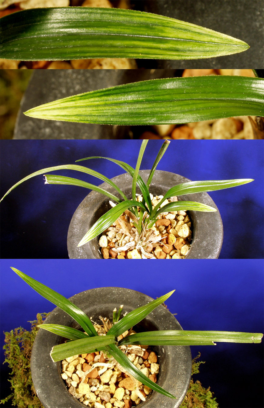 ������ ū������ �� �� �ֽ��ϴ�.