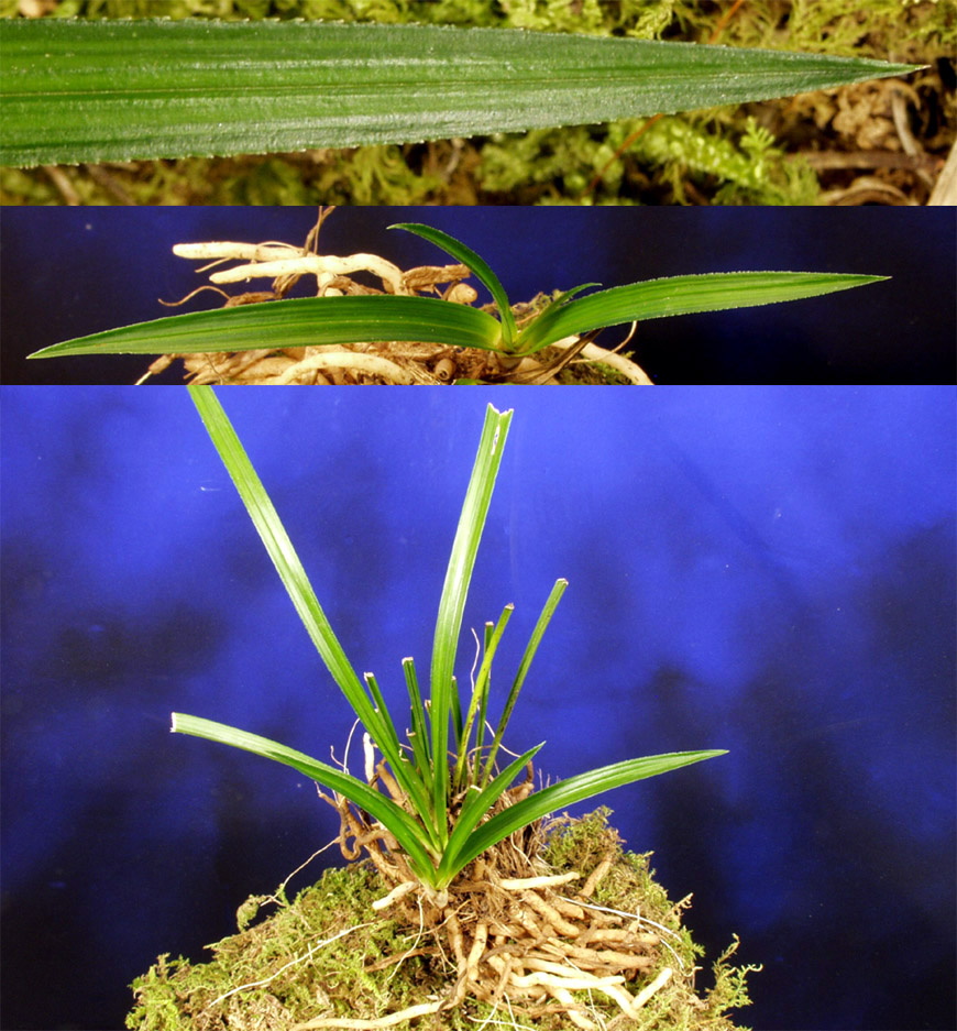 ������ ū������ �� �� �ֽ��ϴ�.