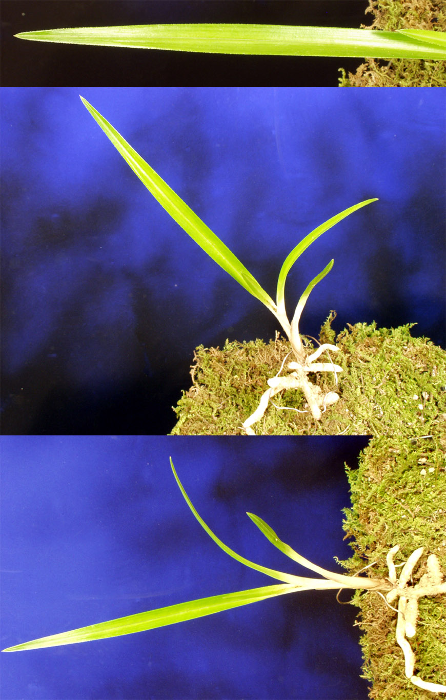 ������ ū������ �� �� �ֽ��ϴ�.