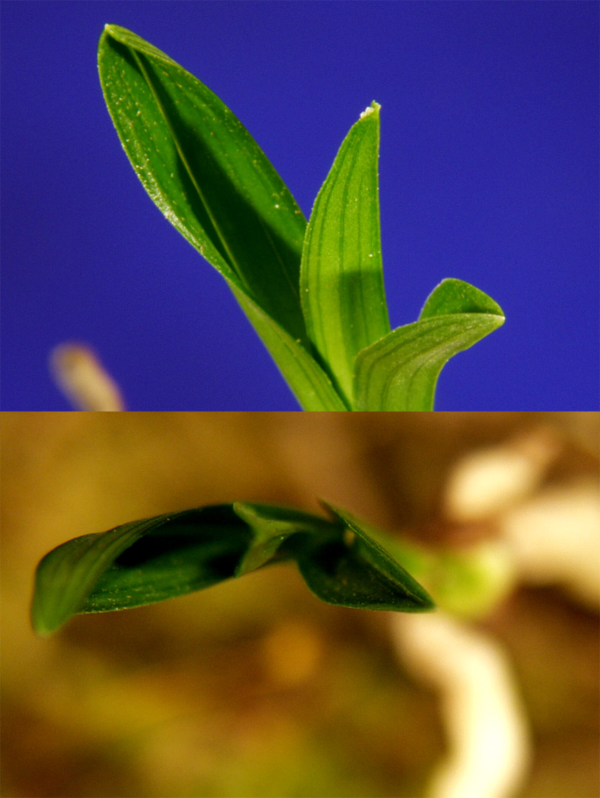 ������ ū������ �� �� �ֽ��ϴ�.