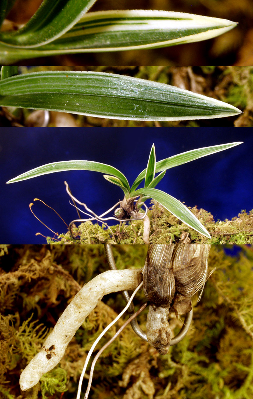 ������ ū������ �� �� �ֽ��ϴ�.